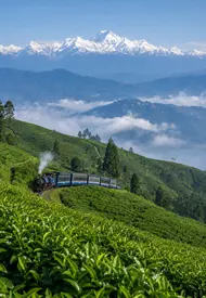 darjeeling-city