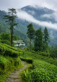 takdah