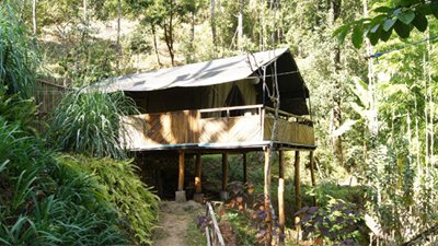 Luxury Tent Twin Bed