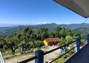 Chhetri Homestay Jhandi Gorubathan in Jhandi