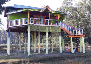 Jungle Queen Homestay in Alipurduar