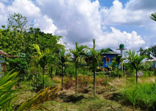 Rava Blue Homestay in Buxa Jayanti