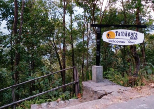 Tathagata Farm in Darjeeling-City