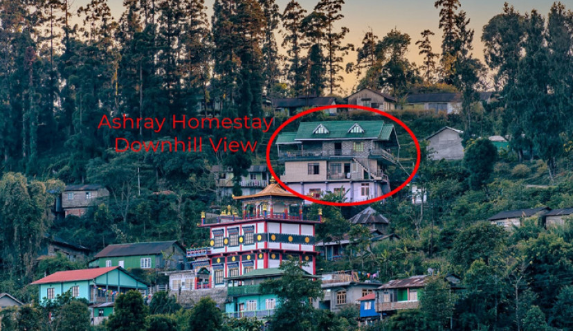 Ashray homestay latpanchar